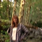 WILLOW_CREEK_-_HD_TRAILER_128.jpg