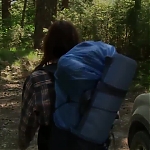 WILLOW_CREEK_-_HD_TRAILER_180.jpg