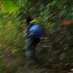 WILLOW_CREEK_-_HD_TRAILER_223.jpg