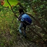 WILLOW_CREEK_-_HD_TRAILER_224.jpg