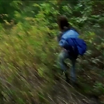 WILLOW_CREEK_-_HD_TRAILER_226.jpg