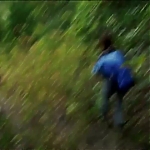 WILLOW_CREEK_-_HD_TRAILER_227.jpg