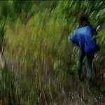 WILLOW_CREEK_-_HD_TRAILER_228.jpg