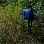 WILLOW_CREEK_-_HD_TRAILER_231.jpg