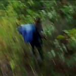 WILLOW_CREEK_-_HD_TRAILER_239.jpg