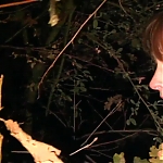 WILLOW_CREEK_-_HD_TRAILER_261.jpg