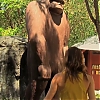 WILLOW_CREEK_0259.jpg