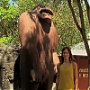 WILLOW_CREEK_0260.jpg