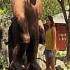 WILLOW_CREEK_0261.jpg