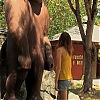 WILLOW_CREEK_0262.jpg