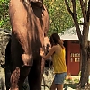 WILLOW_CREEK_0263.jpg