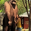 WILLOW_CREEK_0264.jpg