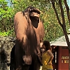 WILLOW_CREEK_0265.jpg