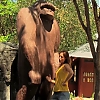 WILLOW_CREEK_0267.jpg