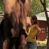 WILLOW_CREEK_0269.jpg