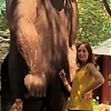WILLOW_CREEK_0270.jpg