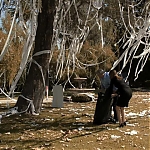 HOUSE_MD_-_E8X04_RISKY_BUSINESS_104.jpg
