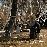 HOUSE_MD_-_E8X04_RISKY_BUSINESS_106.jpg