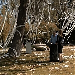 HOUSE_MD_-_E8X04_RISKY_BUSINESS_110.jpg